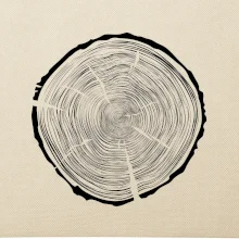 Letokruhy 95 bez veku