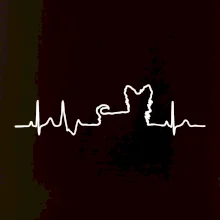 Yorkshirský teriér EKG Yorkshirský teriér EKG