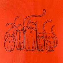 Mačacia rodina Mačacia rodina