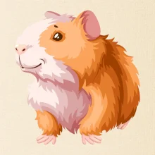 Morča - kreslené, bielo oranžové