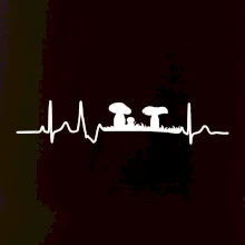 EKG hubár EKG hubár