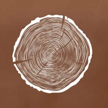 Letokruhy 55 bez veku