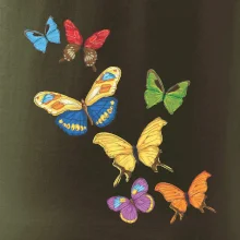 Farebné motýle Farebné motýle