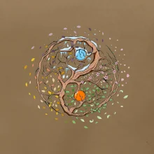 Yin & Yang strom - zima, leto