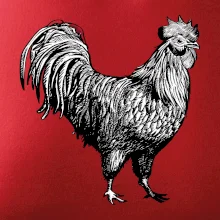 Kohút kreslený čiernobiely