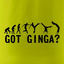 Capoeira - Got Ginga