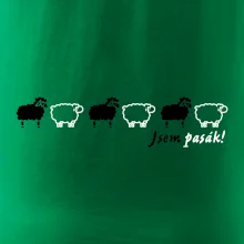 Som pasák - ovce v rade