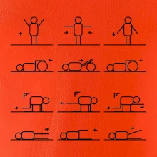 Fyziológia cviky Fyziológia cviky