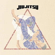 Jiu jitsu triangle