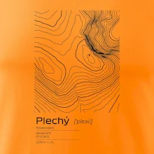 Plechý - vrstevnice v obdĺžniku