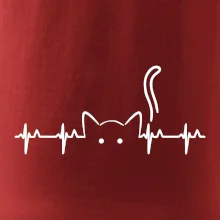Mačka EKG