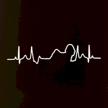 Shih-tzu ekg obrys Shih-tzu ekg obrys