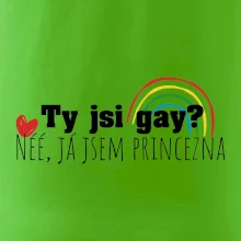 Gay princezna