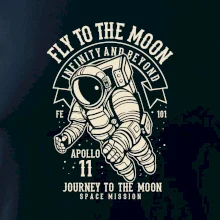 Fly To The Moon
