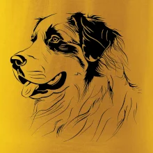 Bernský salašnícky pes čierna kresba