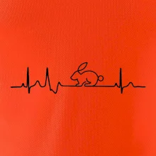 EKG králik EKG králik