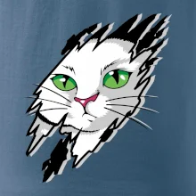 Kočka v roztrženém triku