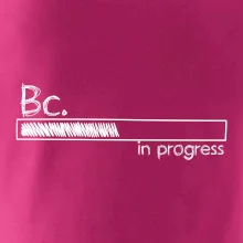In progress titul Bc. bakalár / bakalárka