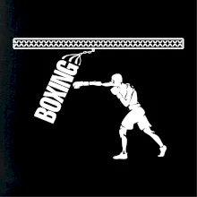 Boxing boxer
