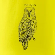 Sova bradatá Barred owl