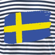 Švédsko vlajka štetkou