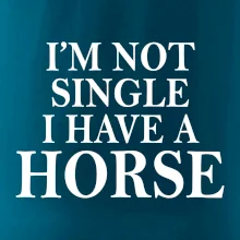 I have a horse I have a horse