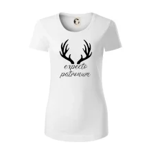 Harry - Expecto patronum Harry - Expecto patronum