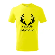 Harry - Expecto patronum Harry - Expecto patronum