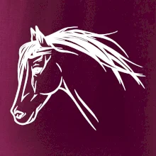 Kôň - hlava celá Kôň - hlava celá