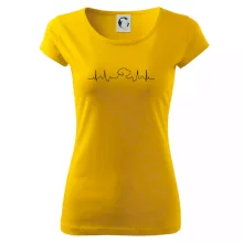 Labradorský retriever‎ EKG