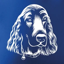 Kokeršpaniel - hlava kreslená