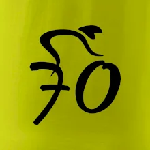 Cyklista oslavuje sedemdesiatku (70)