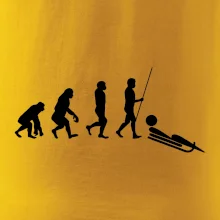 Evolúcia jazdy na bôbu