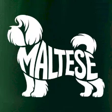 Maltézsky psík nápis v tele