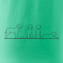 Lagotto romagnolo postavy linka