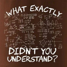 What exactly didn't you understand - physics