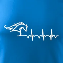 Hlava koňa EKG