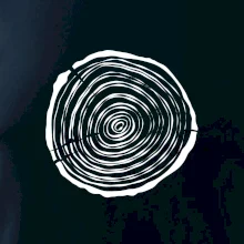 Letokruhy 15 bez veku