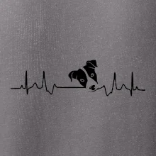 Jack Russell Terriér Ekg