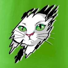 Kočka v roztrženém triku