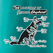 Nemecký ovčiak - Anatómia