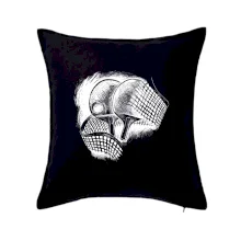 Ping pong rakety a sieť