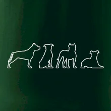 Americký stafordšírsky teriér v rôznych pozíciách