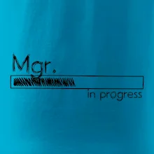 In progress titul Mgr. magister / magistra