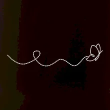 Dráha letu motýľa - vlnovka