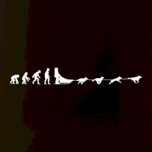 Evolúcia psie záprahy