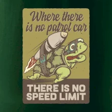 Korytnačka na cestách