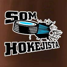 Som hokejista