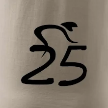 Cyklista oslavuje dvadsaťpäťku (25)