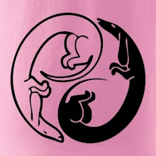 Jazvečíky - Jin jang